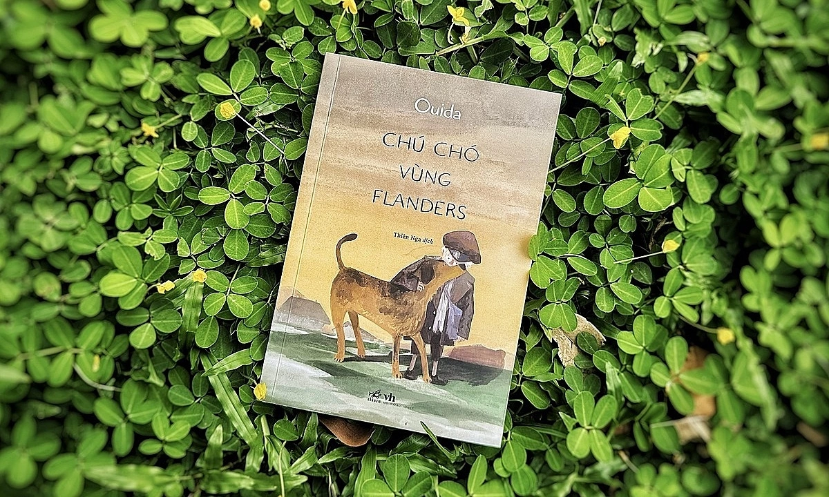 Chú chó vùng Flanders: Hồn nhiên vượt nghịch cảnh và bài học về lòng trung thành - hình ảnh - appxx88.vip