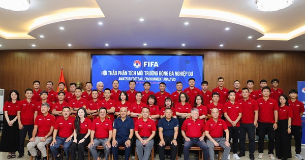 FIFA chỉ ra hướng phát triển bóng đá phong trào Việt Nam - hình ảnh - appxx88.vip